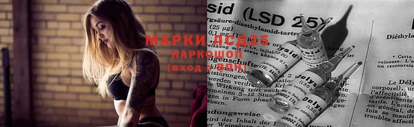мяу мяу мука Абаза