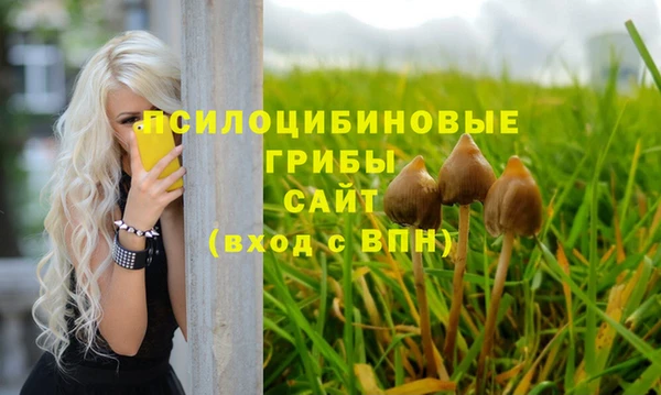 мет Абинск