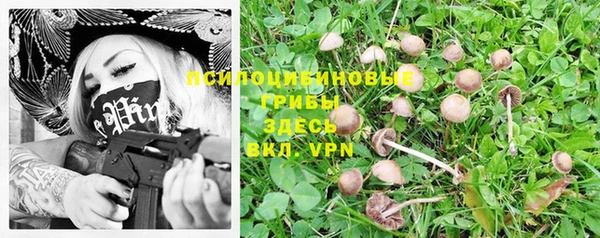 мет Абинск